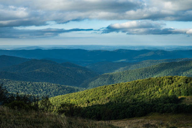 istock Beautiful scenery of green tree-covered valley with mountain range under blue sky 1834950986