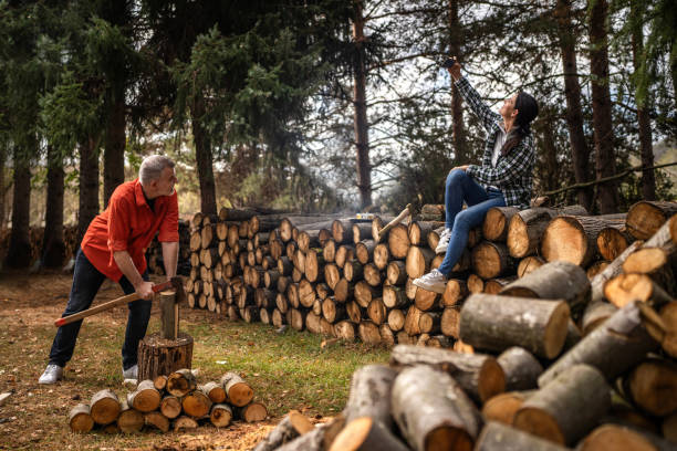 istock Lumberjack cutting wood for winter 1834954216