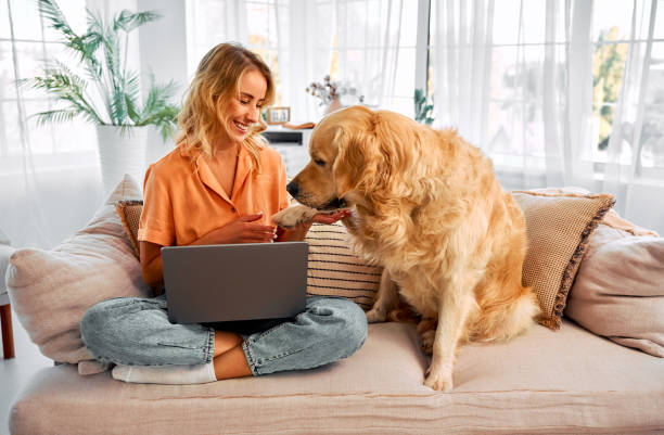 istock Animal friend at home. 1834955281