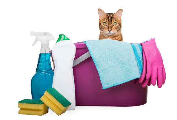 istock Cleaning products and tools for home cleaning. 1834964361