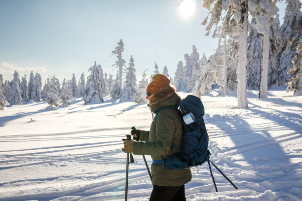 istock Hiking in winter mountain forest 1834968052