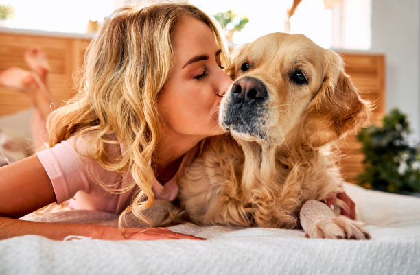 istock Sincere love to pet. 1834981456
