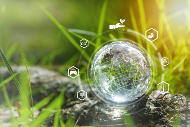 istock Glass globe in green forest with the icon environment of ESG, co2,  and net zero.Technology Environment, society, and governance for sustainable, environment Concept. 1834984637