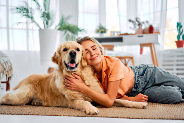 istock Love for your pet. 1834987251