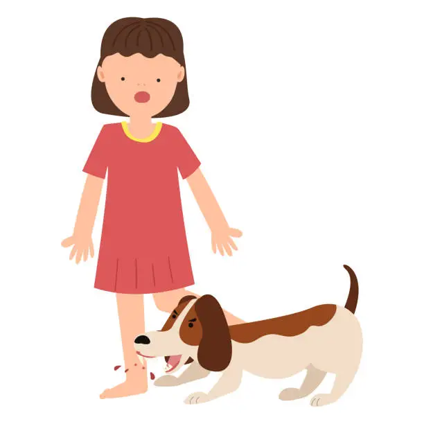 Vector illustration of dog bite kid. rabies virus infection from dog concept