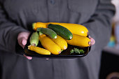 Hands holding a large plate with various fresh farm vegetables. Diet. Balance. The concept of healthy organic food