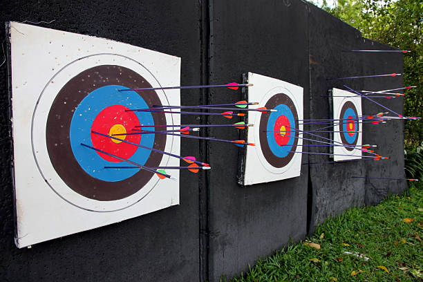 Target archery and Many arrow. The Picture Target archery and many arrow after shoot. 10 11 years photos stock pictures, royalty-free photos & images
