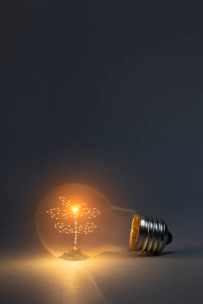 istock Classic light bulb with new life plant inside on dark background 1835024950