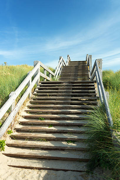 istock Stairs in the dunes 183504346
