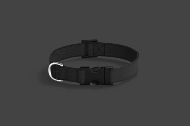 istock Blank black dog collar with plastic buckle mockup 1835048944
