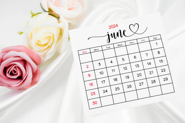 juni 2024 kalenderblatt und rosenblüte auf satiniertem textilhintergrund. - june calendar page personal organizer stock-fotos und bilder