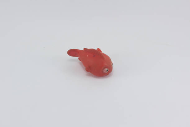 istock kid toy, red fish figure at white background 1835050550