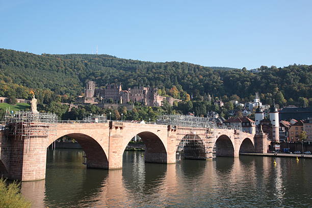 istock Heidelberg Castle and old town 183506280