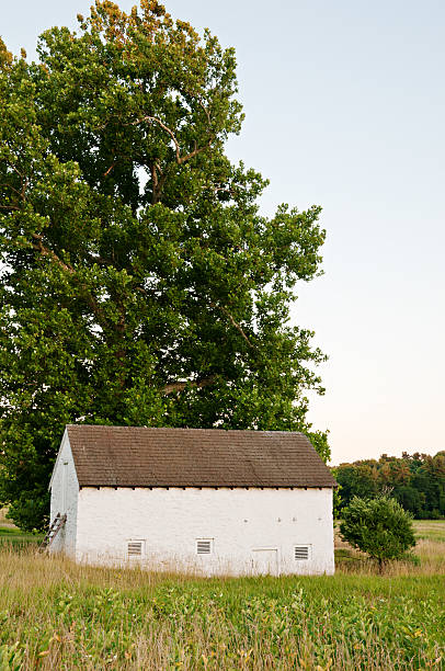istock Countryside scene in sunset light 183507946
