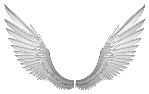 3d white wings isolated on white