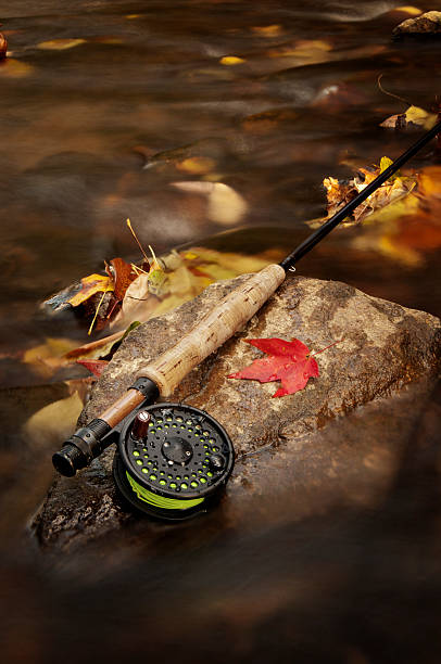 Pesca con mosca en el otoño - foto de stock
