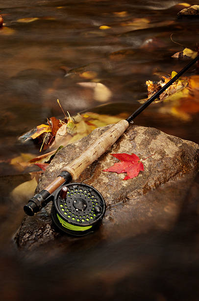 Mosca pesca no outono - fotografia de stock