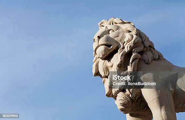 Lion - zdjęcia stockowe i więcej obrazów Lew - Wielki kot - Lew - Wielki kot, Kamień - Materiał budowlany, Siła