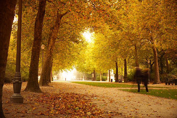 istock Autumn park with couple in love 183512109