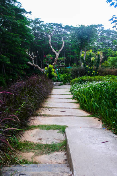 istock Garden Quest: The Stone Gateway to Verdant Bliss 1835122261
