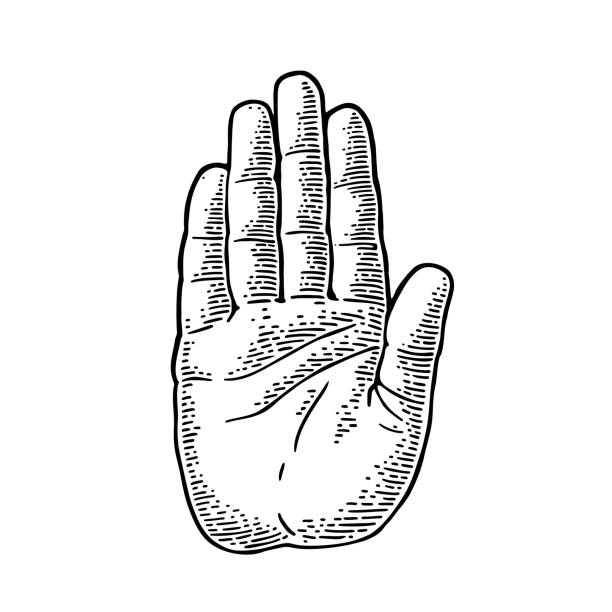 Hand showing stop gesture. Front view. Vector monochrome vintage engraving