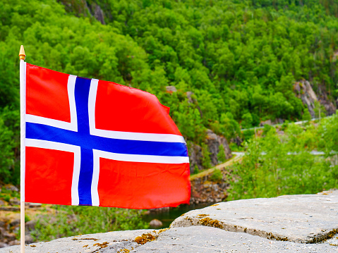 Norwegian flag waving outdoor on green nature