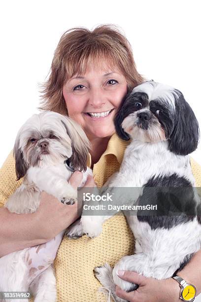 Feliz Mulher Madura Segurando Dois Cães - Fotografias de stock e mais imagens de Branco - Branco, Cão, Fotografia de Estúdio