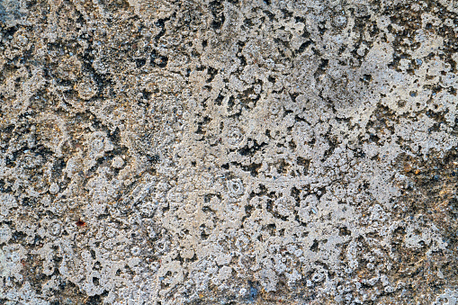 The texture of an old concrete grunge wall showcases weathering, cracks, and a worn appearance, adding character and depth to its surface