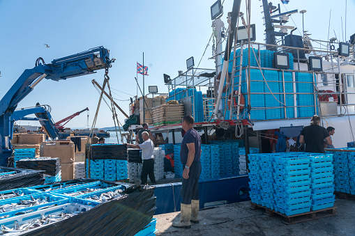 Sali, Croatia - 25. junij 2023: Fisherman's loading sardines  in the port of Sali on Dugi otok, island in Croatia.