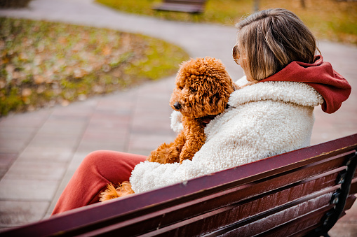 Woman embraces Barbet dog on bench during autumn day