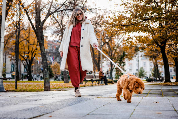 istock Autumn walk in the city 1835173610