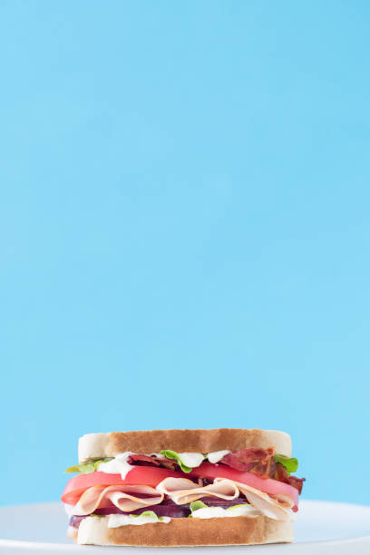 istock Smoked Turkey Sandwich on a blue background 1835176354