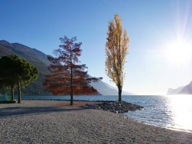 Beautiful autumn colors with view on lake Garda