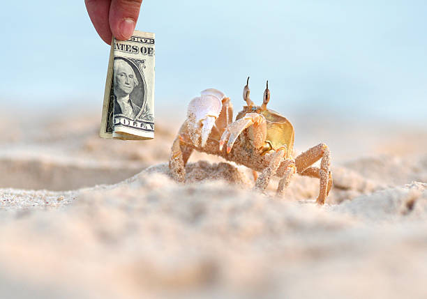 istock crab stealing money from tourist 183518402