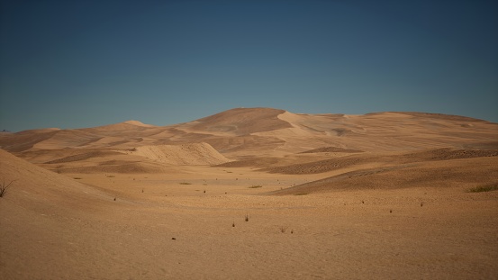 The desert seems endless, with its yellow sands stretching beneath the lively blue sky.