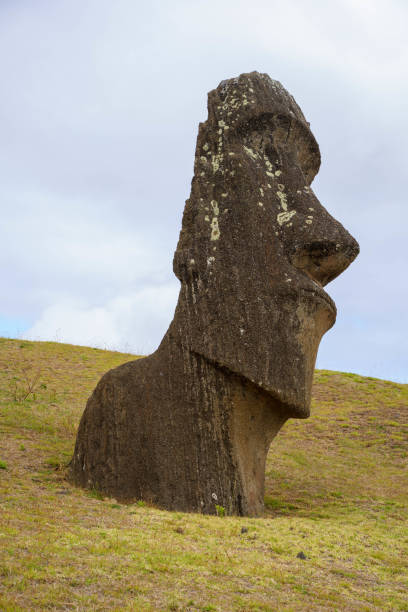 Moais on Rano Raraku, Easter Island, Chile.