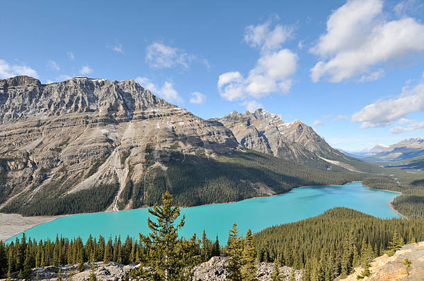 istock Peyto Lake Banff National Park Canada 183520076