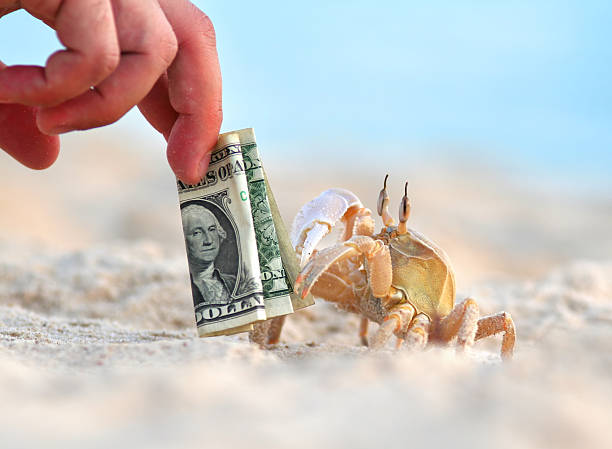 istock tourist teasing crab with dollars 183520276