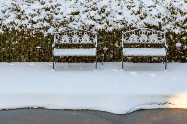 Free Stock Photo of Row of Park Benches Covered in Snow | Download Free ...