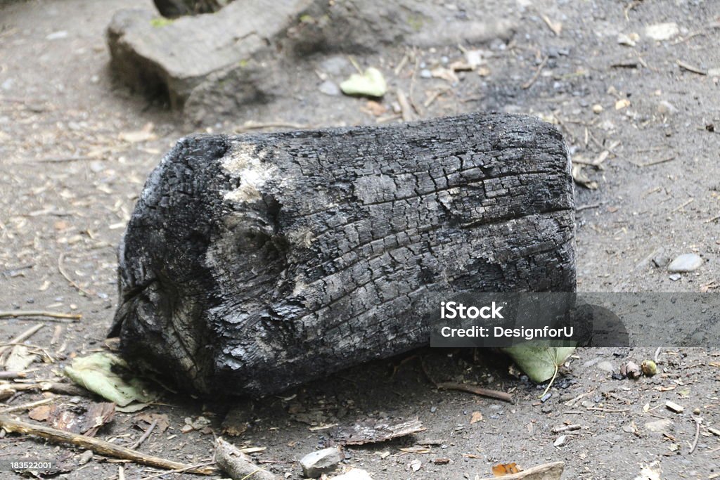 Großes Stück dunklem Holz - Lizenzfrei Blatt - Pflanzenbestandteile Stock-Foto