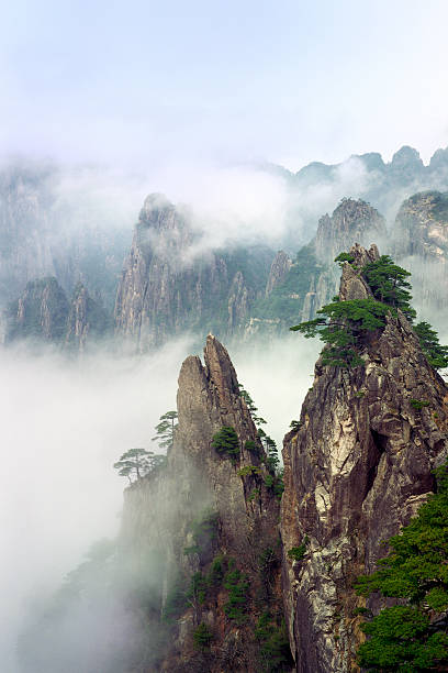 istock Beauty In Nature 183522452