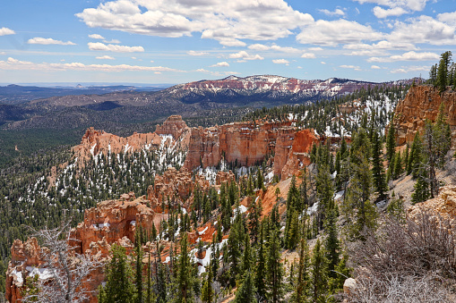 Snow in Bryce Canyon National Park in Utah under a blue sky