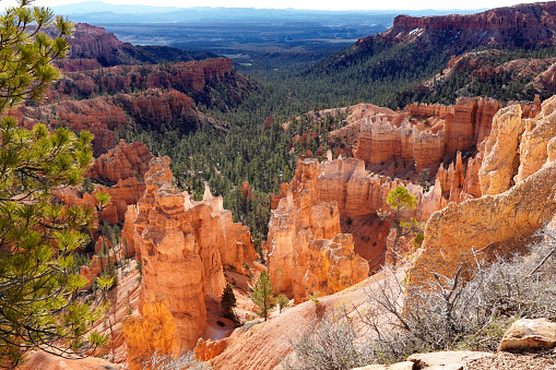 Hoodoos and trees in Bryce Canyon National Park in Utah