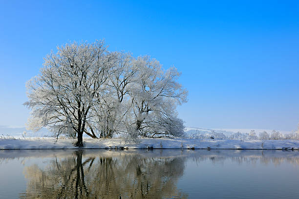 istock Frozen Winter Landscape with Trees Reflecting in River 183522856
