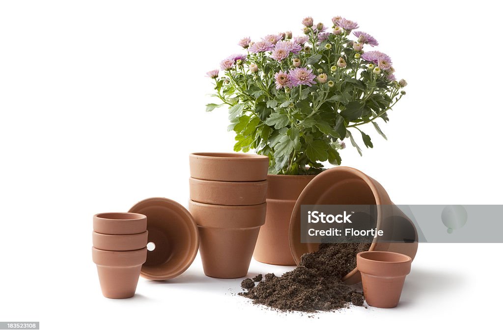 Garten: Ausstattung - Lizenzfrei Blatt - Pflanzenbestandteile Stock-Foto