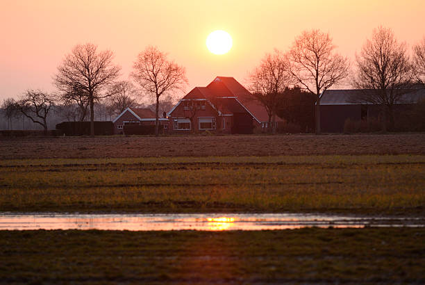 istock Sunset over farmland in the Netherlands 183523562