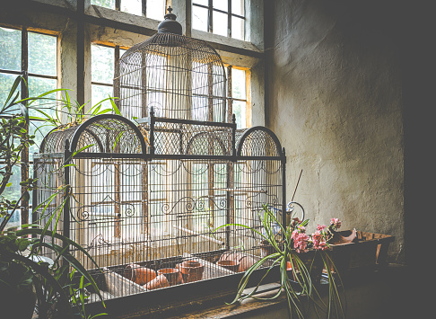 An ornate bird cage with flower pots on a windowsill in an English country manor house.