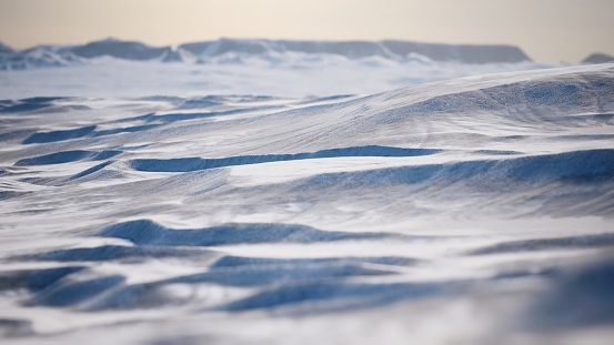 Cloaked in the stillness of frozen, snow-blanketed vistas, the Arctic desert unveils a tranquil and unblemished winter tableau.