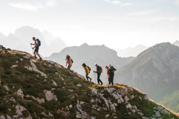 istock Diverse Friends Having Fun Trekking Mountain Ridge 1835249310