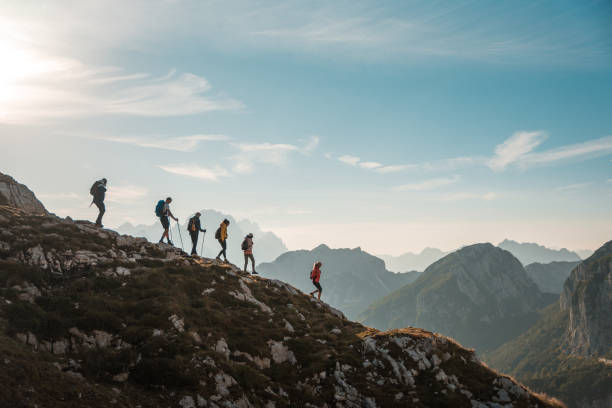 istock Diverse Friends Having Fun on a Sunny Mountain Hike 1835249313